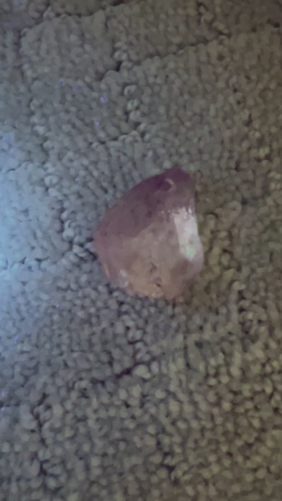 Ojuela Mine Fluorite Enhydro (1) | 12.2g