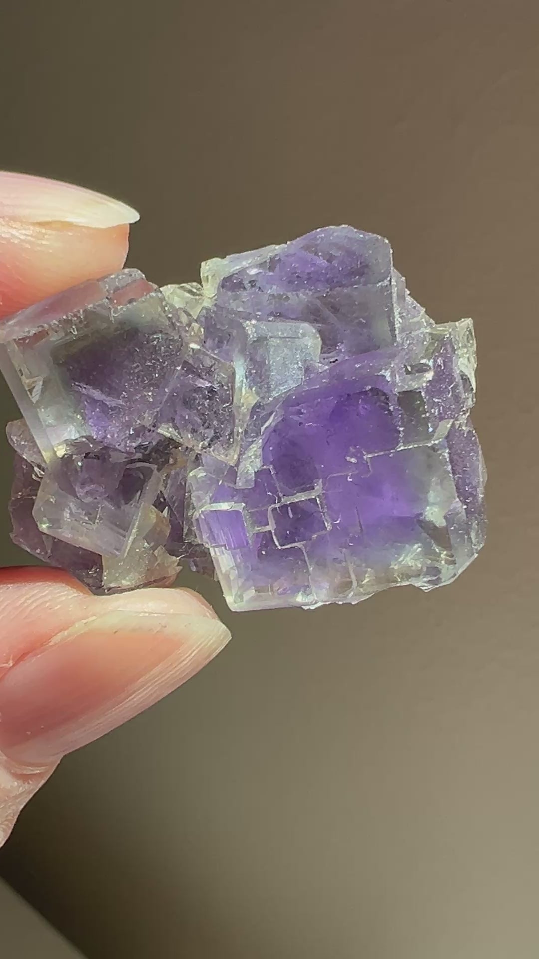 Fluorite (2) | 16.9g