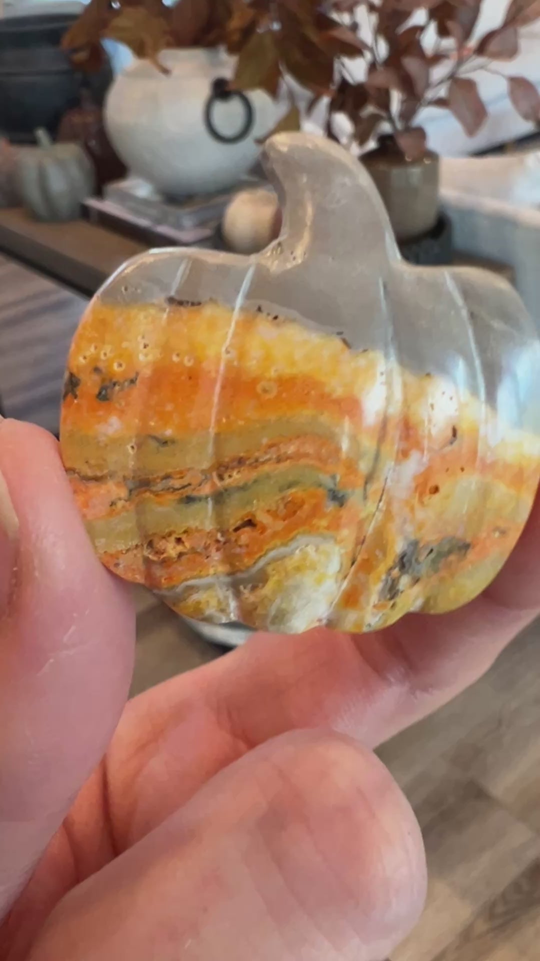 Bumblebee Jasper Pumpkin (7)