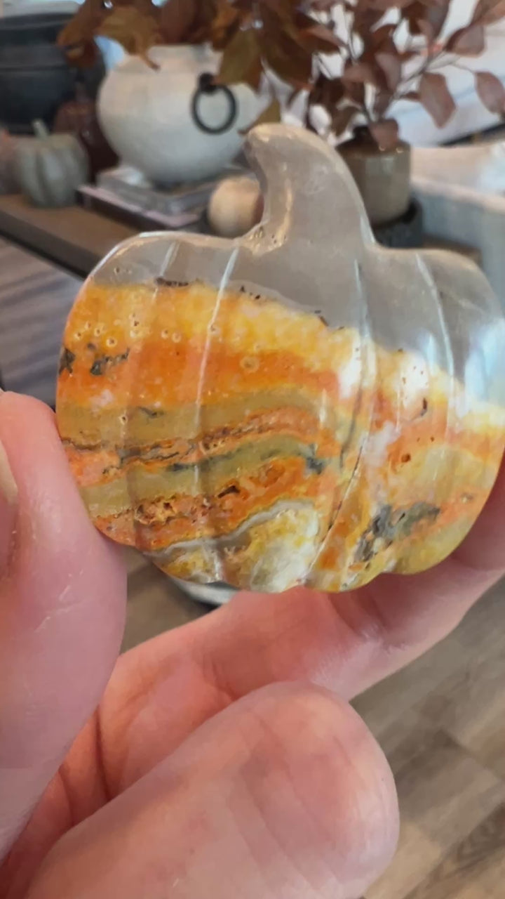 Bumblebee Jasper Pumpkin (7)