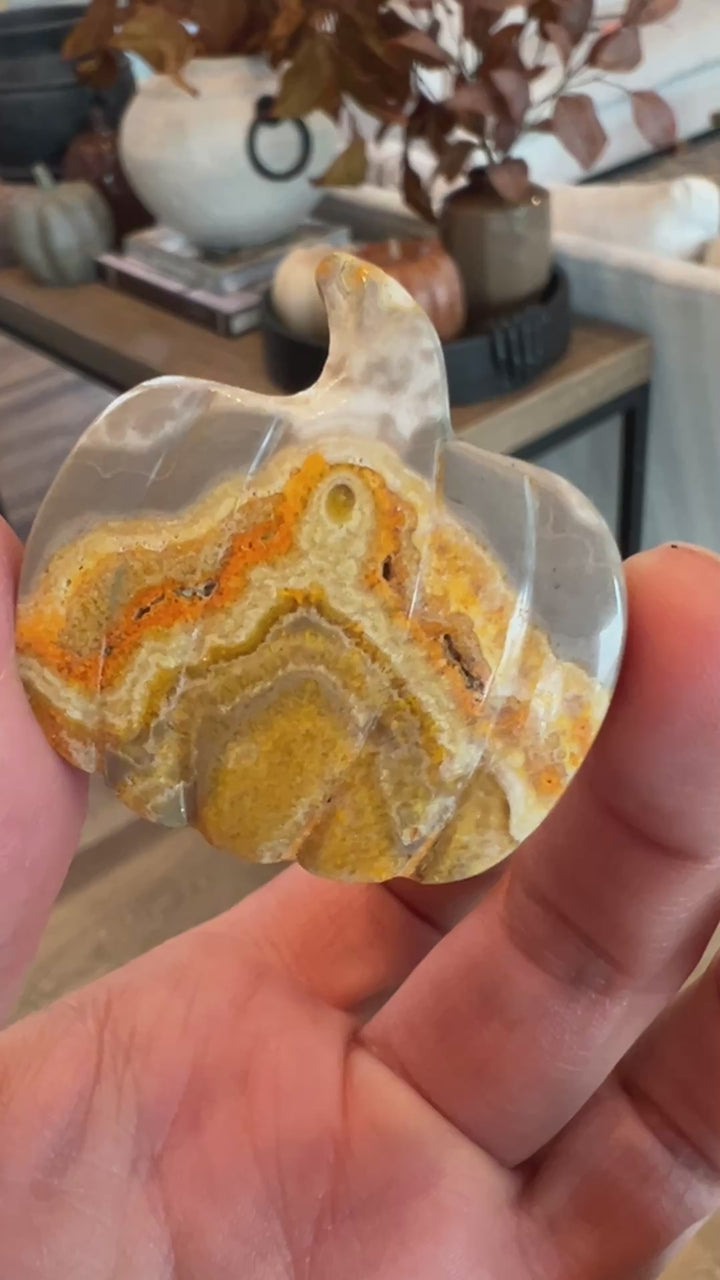 Bumblebee Jasper Pumpkin (20)