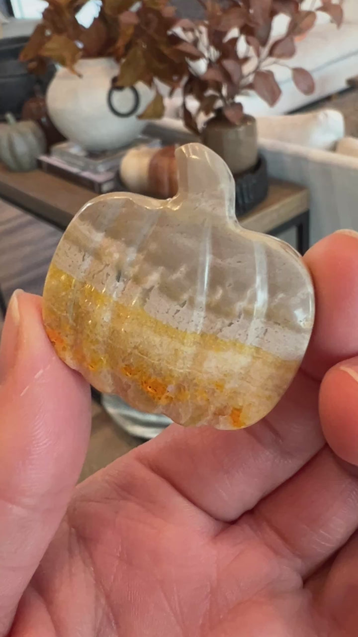 Bumblebee Jasper Pumpkin (23)