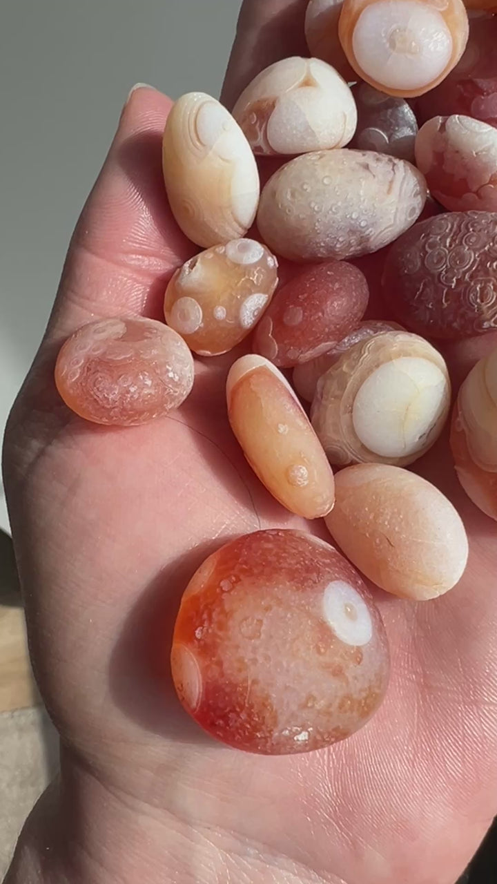 Wholesale Gobi Desert Agate Lot (2)