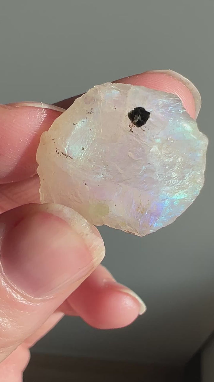 Raw Moonstone (11) | 6.6g