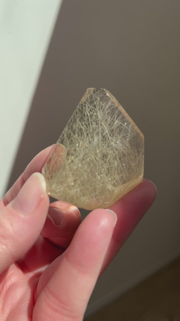 Rutilated Quartz (7)