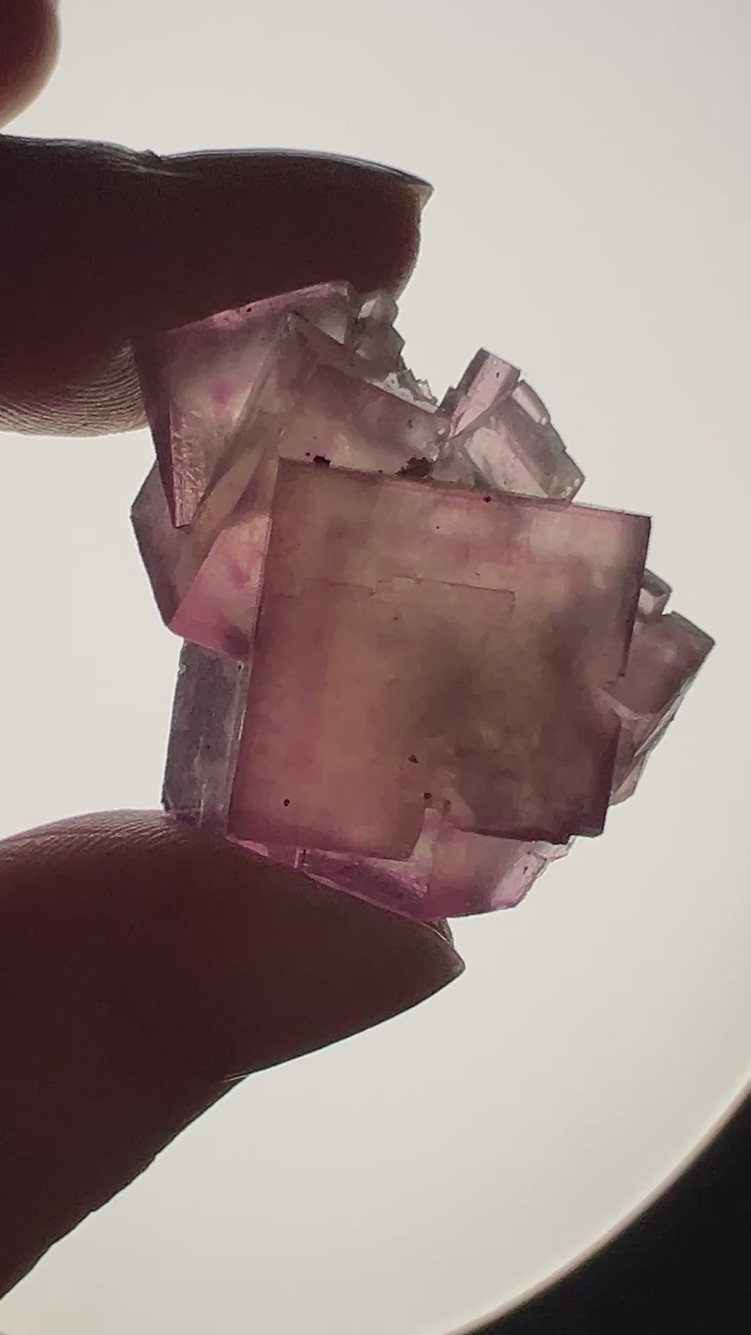 Fluorite (7) | 13.5g