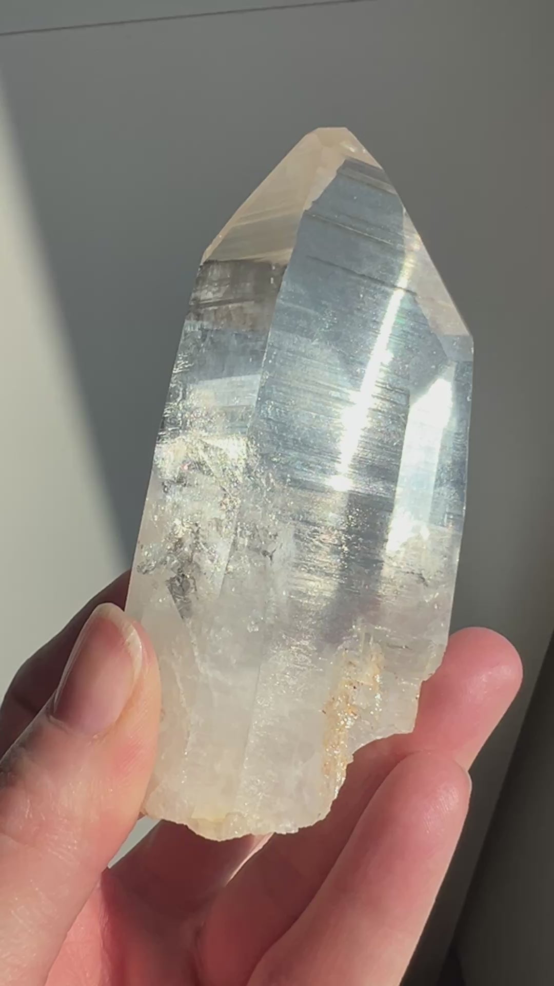 Colombian Lemurian (10) | 264.8g