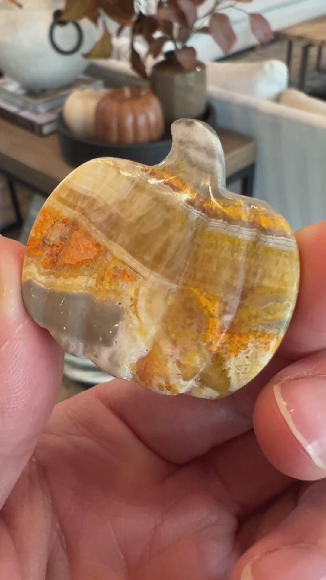 Bumblebee Jasper Pumpkin (34)