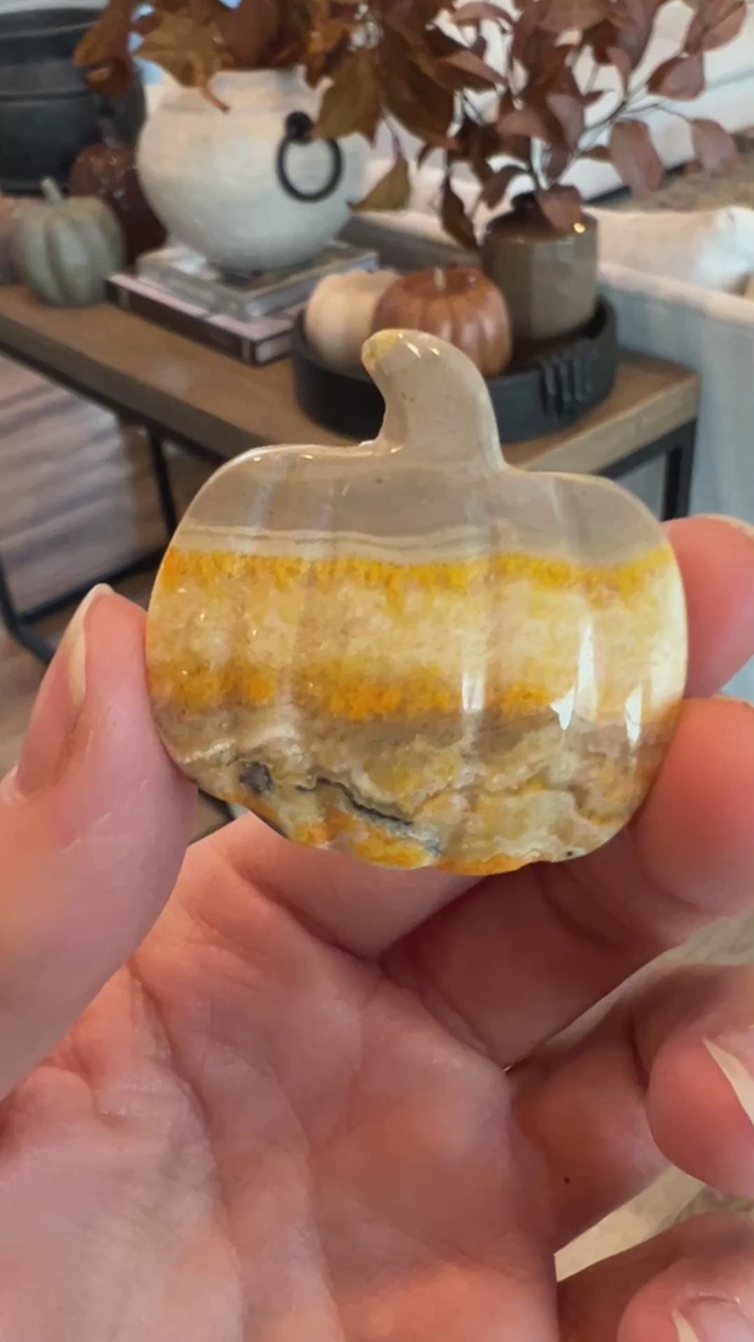 Bumblebee Jasper Pumpkin (13)