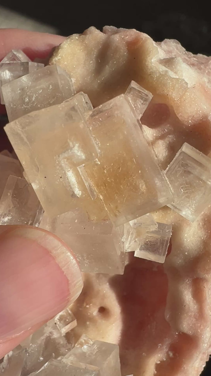 Pink Halite Enhydro (3) | 112.3g