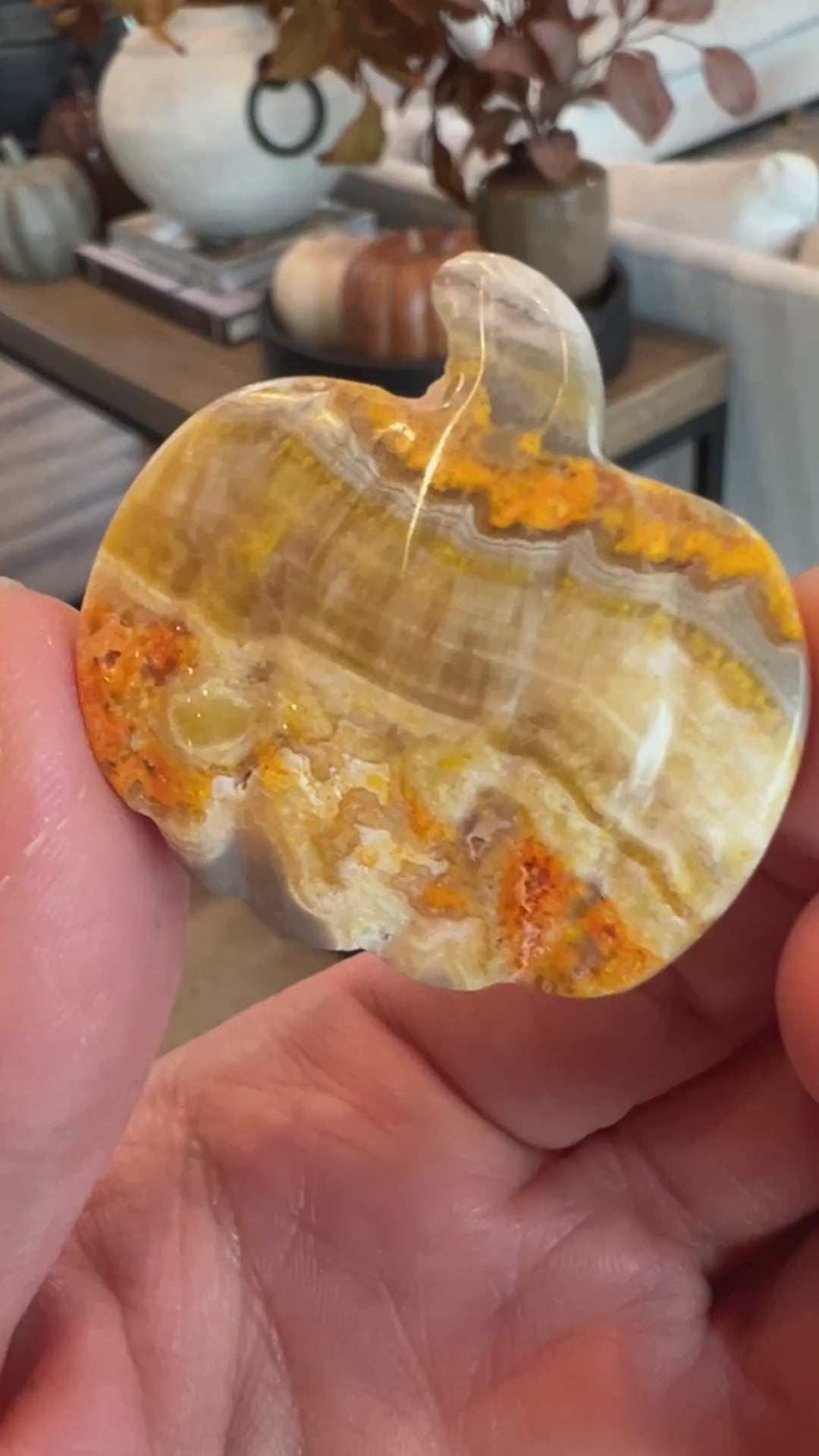 Bumblebee Jasper Pumpkin (30)