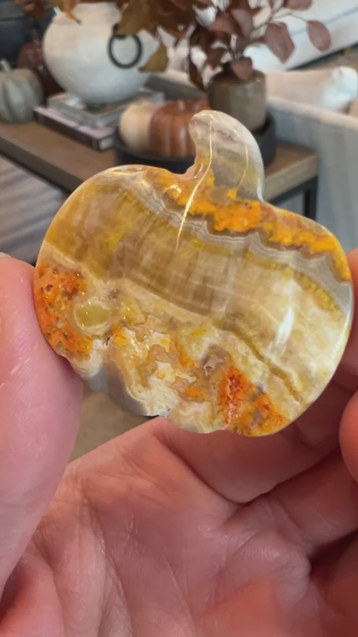Bumblebee Jasper Pumpkin (30)