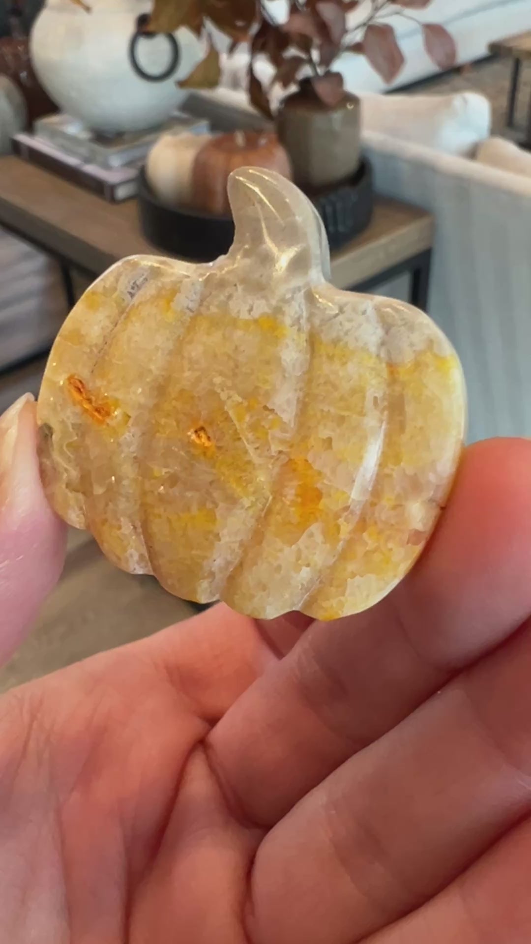 Bumblebee Jasper Pumpkin (26)