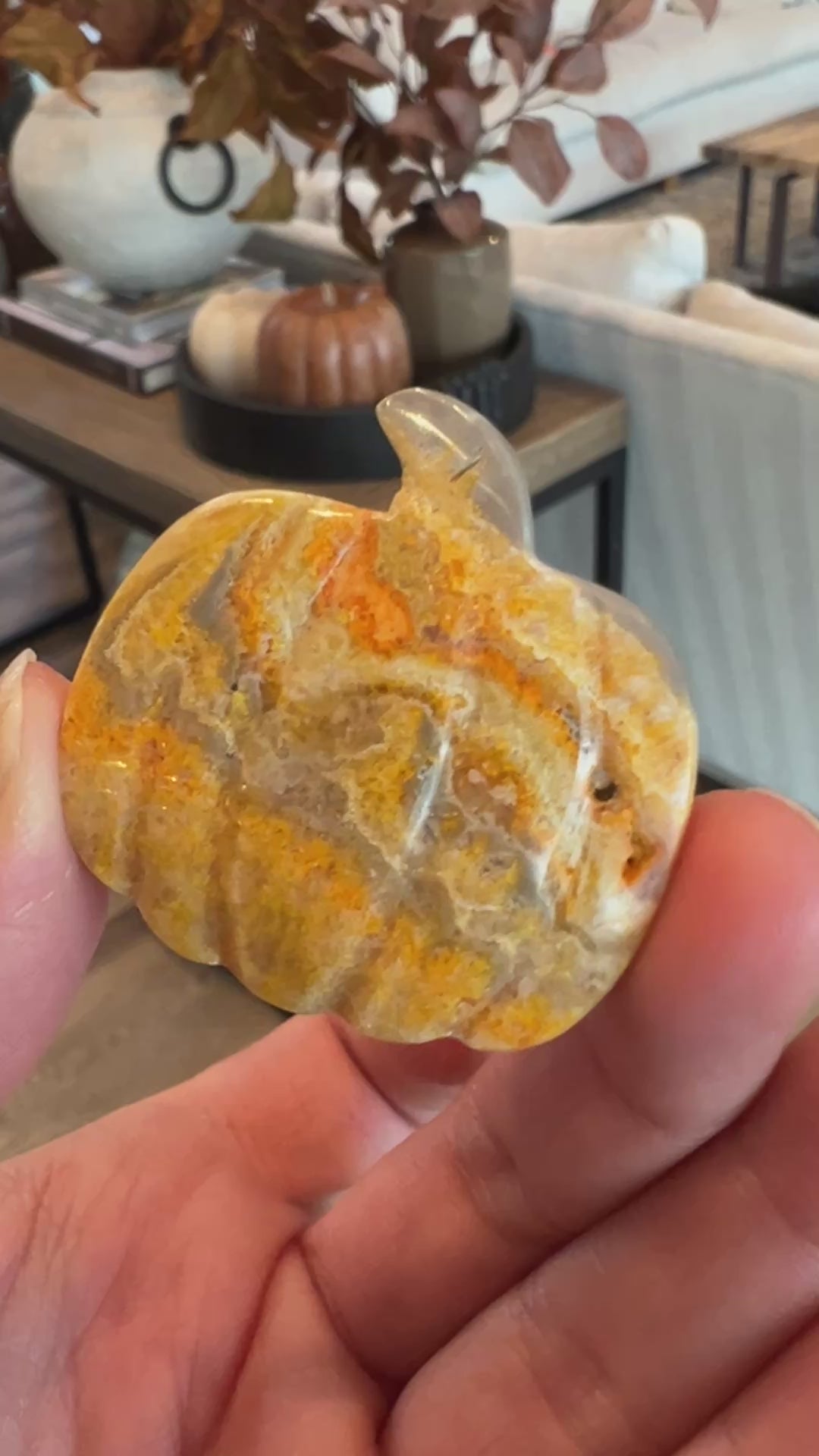 Bumblebee Jasper Pumpkin (27)