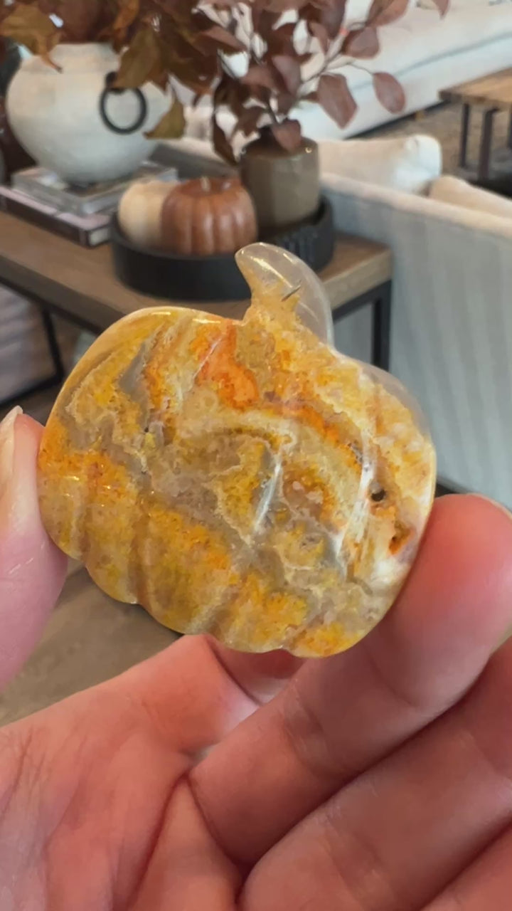 Bumblebee Jasper Pumpkin (27)