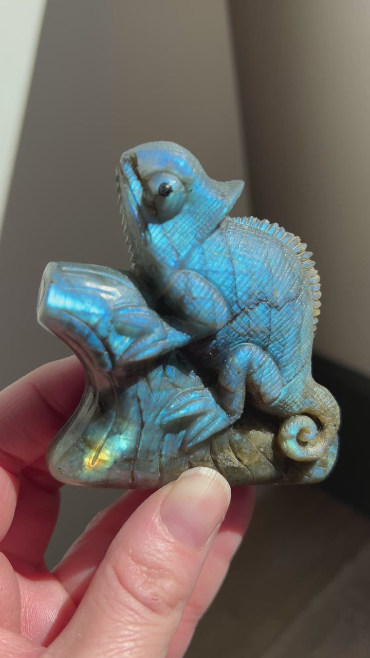 Labradorite Chameleon Carving