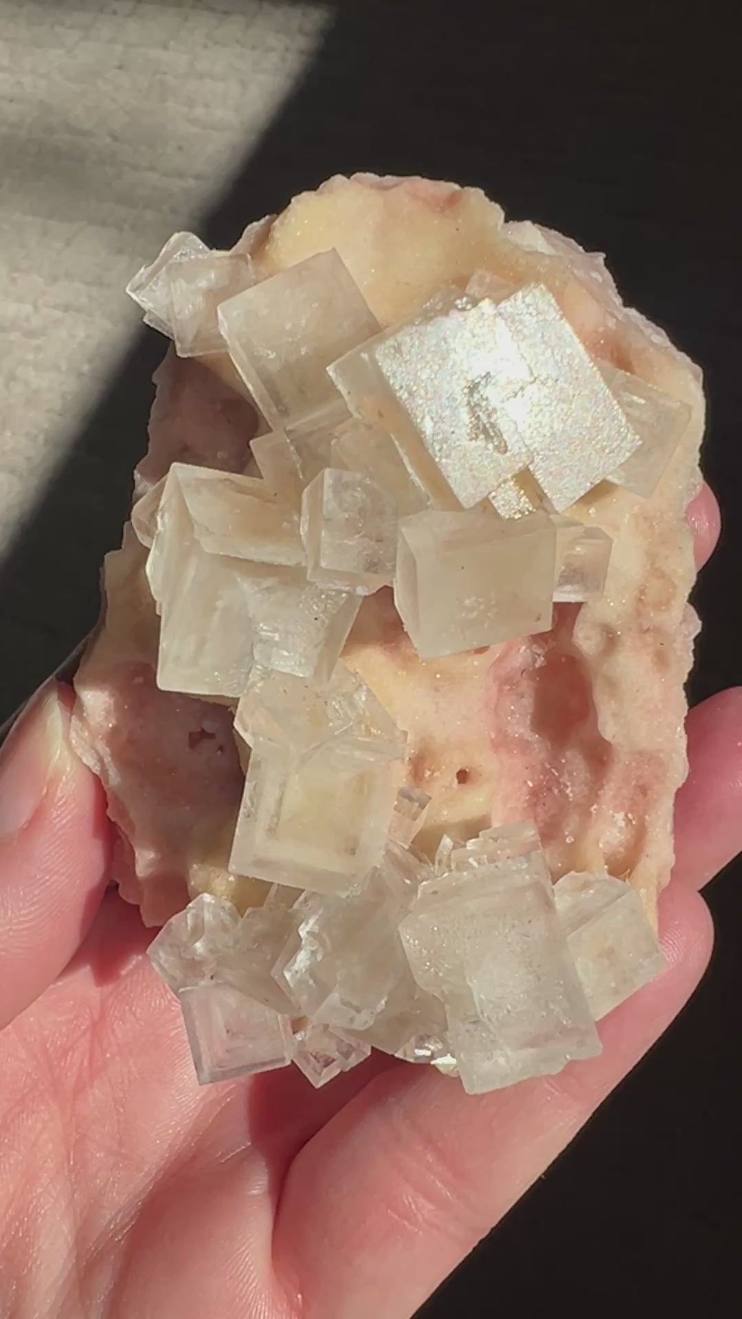 Pink Halite Enhydro (3) | 112.3g