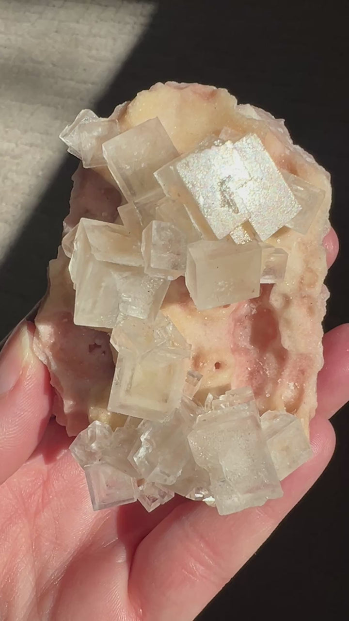 Pink Halite Enhydro (3) | 112.3g