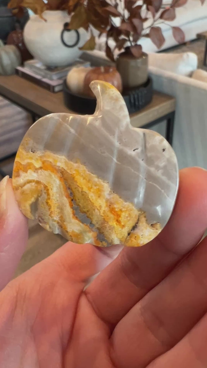 Bumblebee Jasper Pumpkin (24)