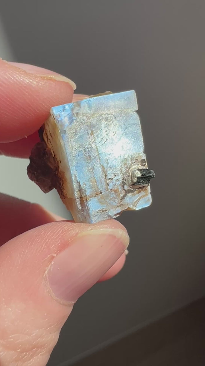 Mexican Moonstone (6) | 6.8g