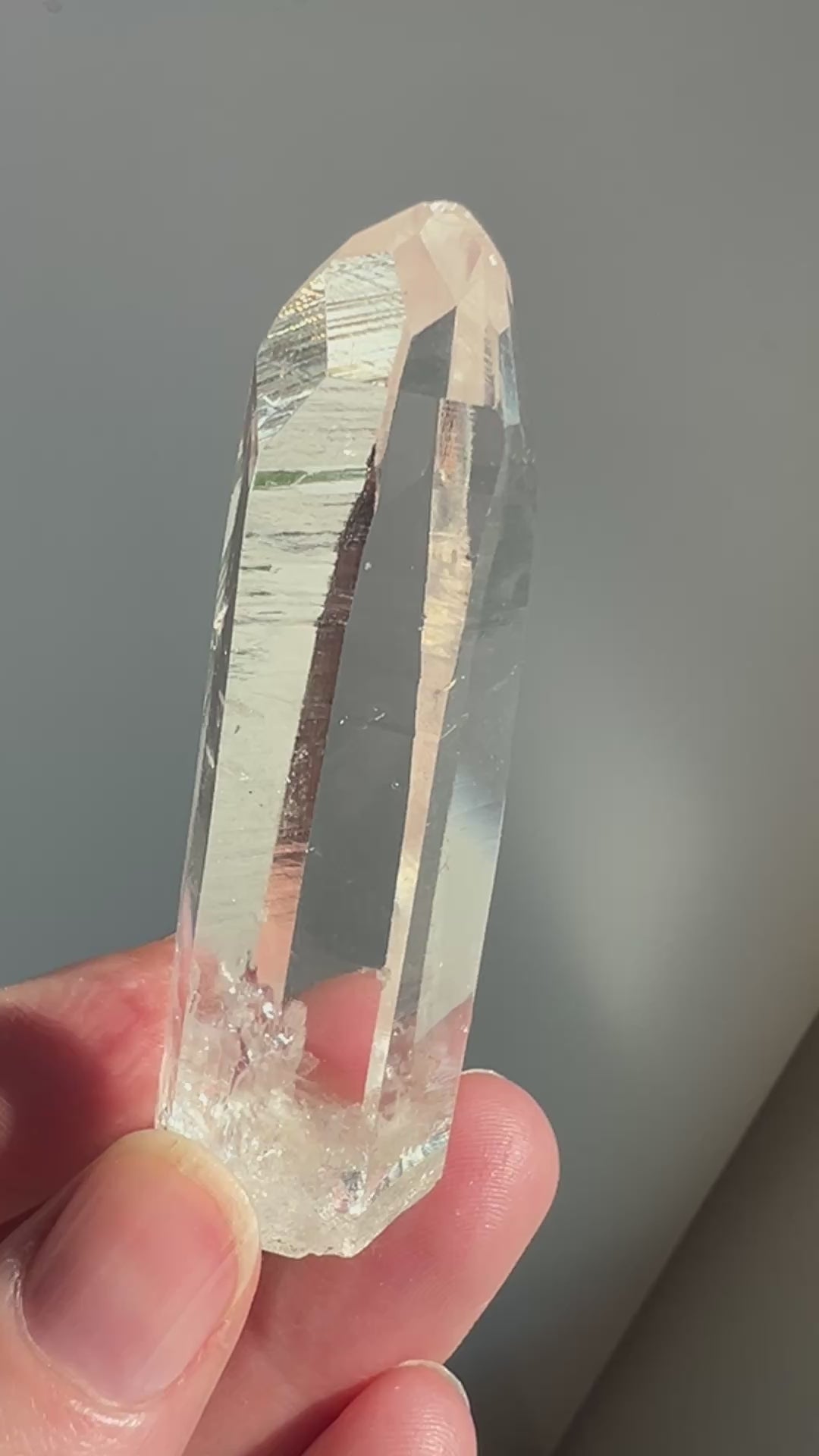 Colombian Lemurian (7) | 41.6g