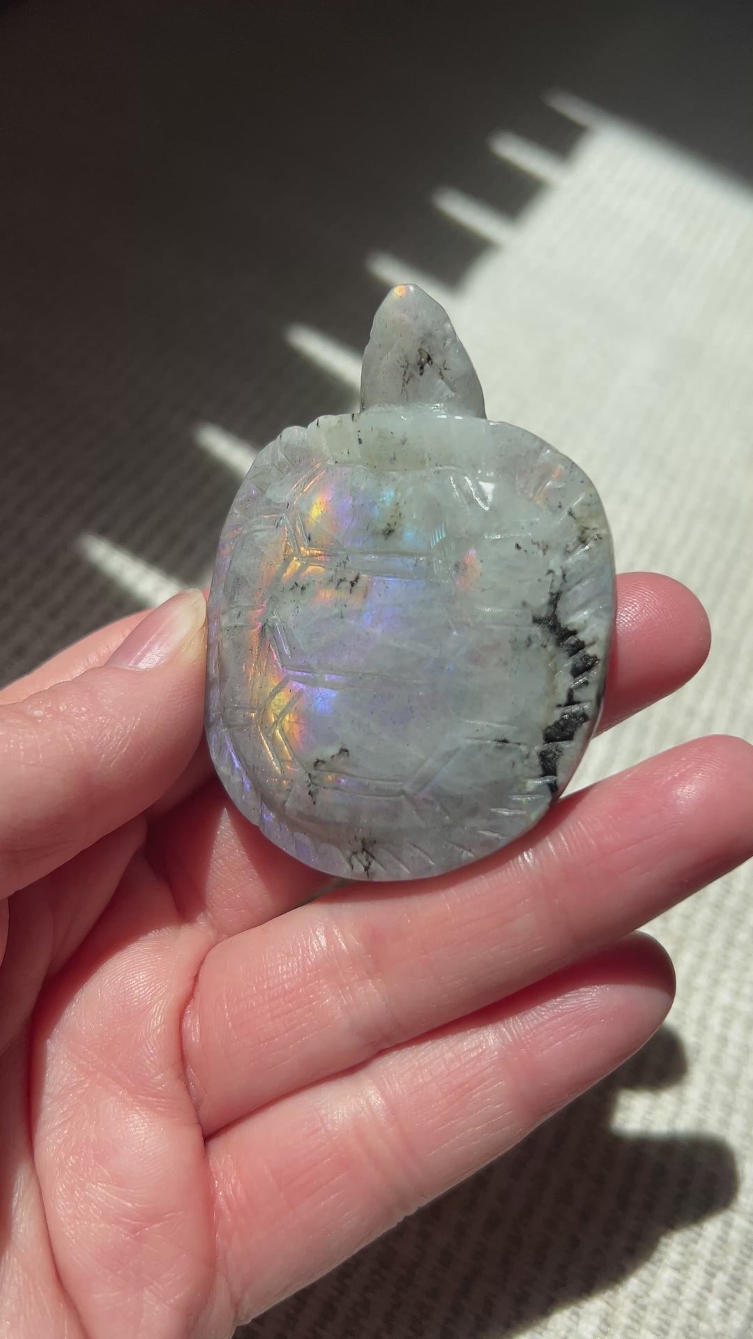 Labradorite Turtle 8 | 76g