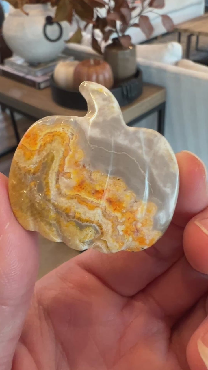 Bumblebee Jasper Pumpkin (11)