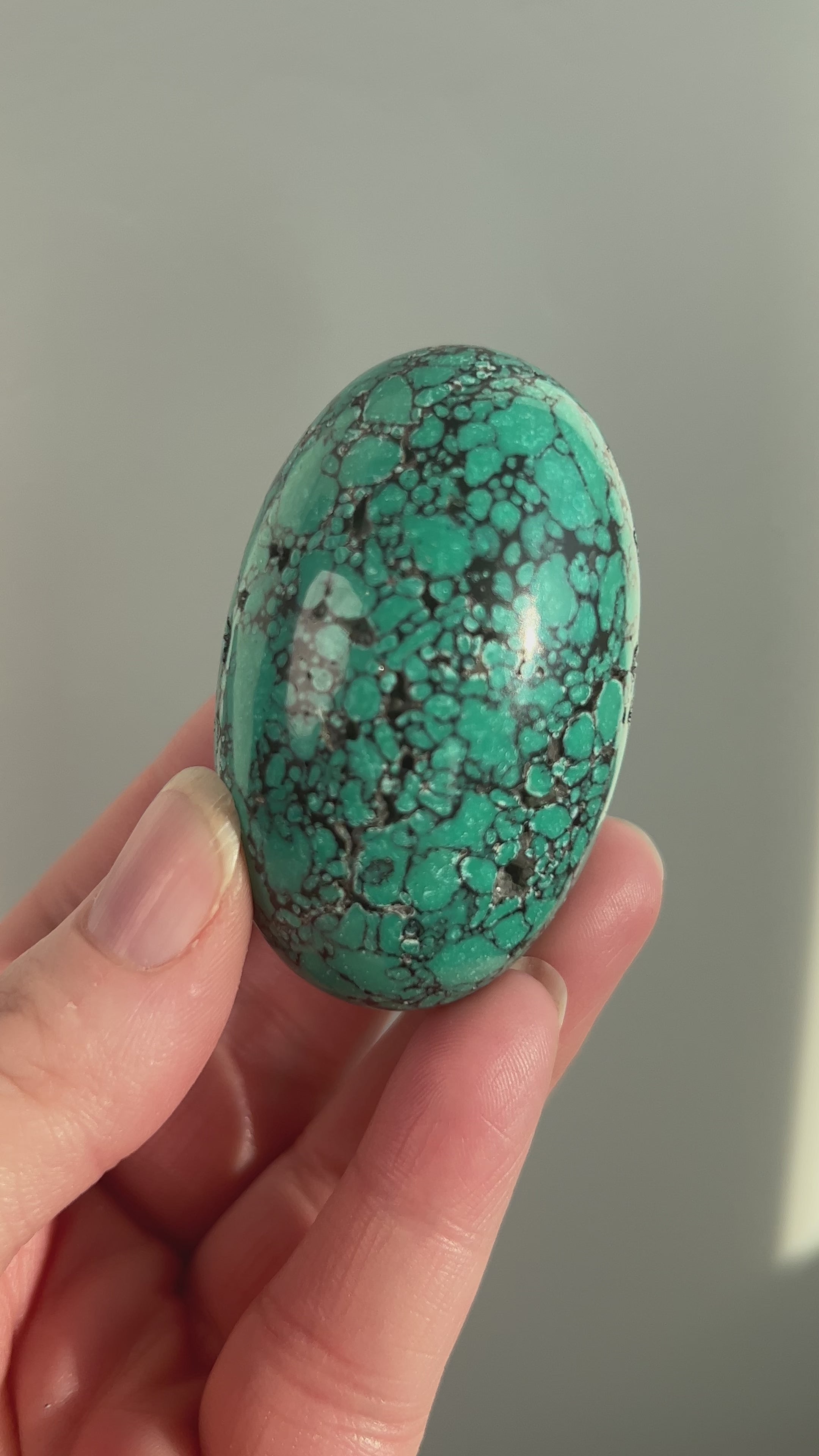 Tibetan Turquoise 117.7g (9) – Crystals For Days
