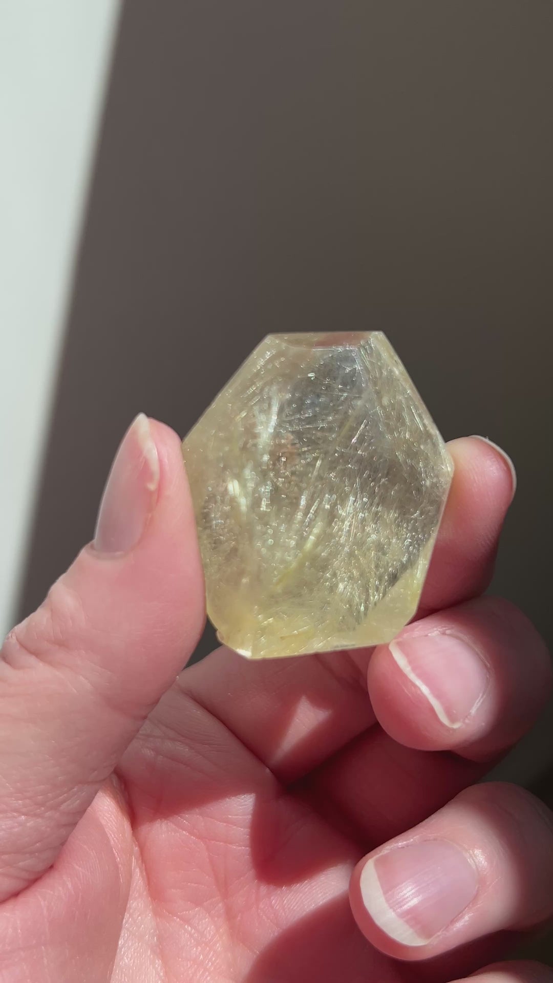Rutilated Quartz (8)