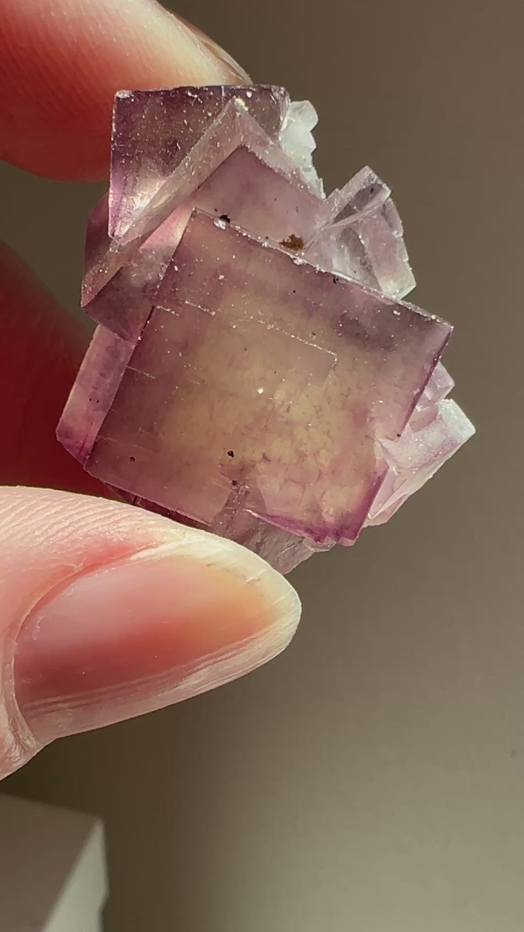 Fluorite (7) | 13.5g