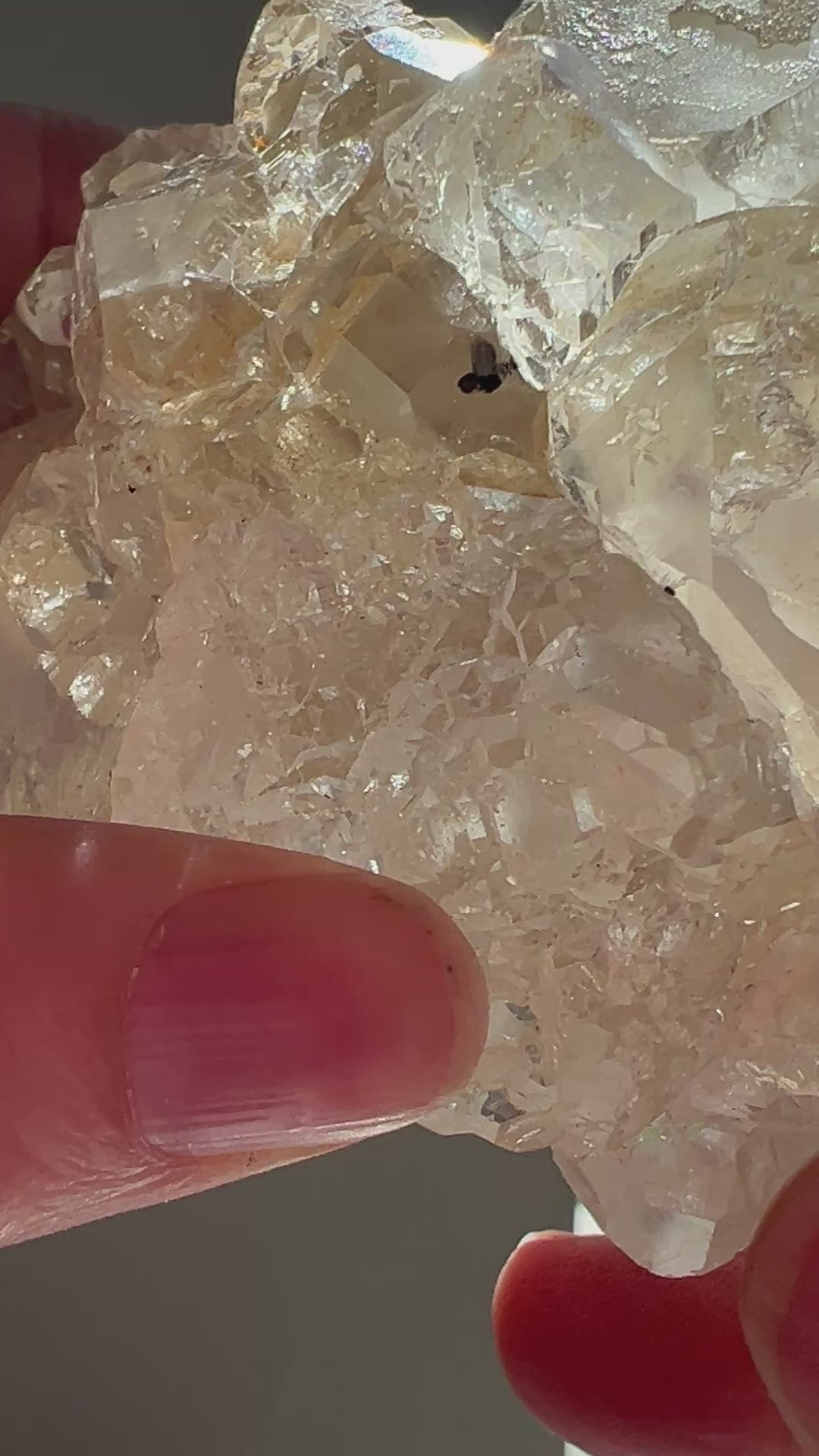 Dalnegorsk Russia Fluorite Enhydro | 527g