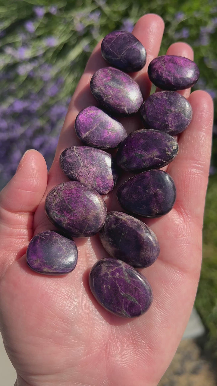 Purpurite Pocket Stone | Random Selection